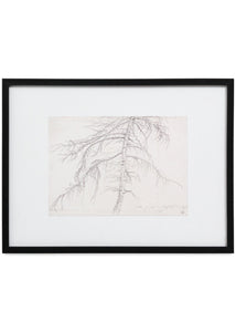 TREE SKETCH
