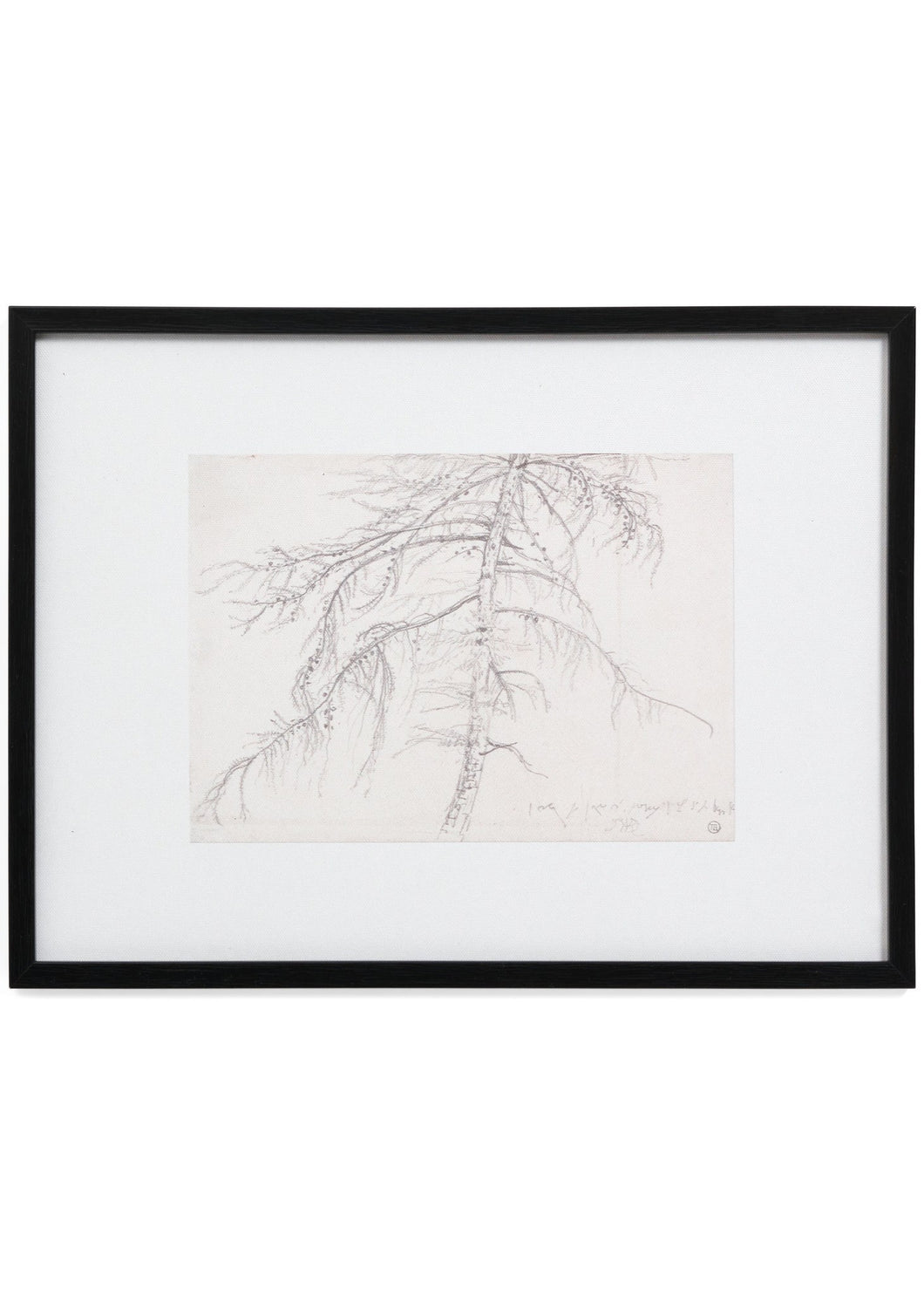 TREE SKETCH