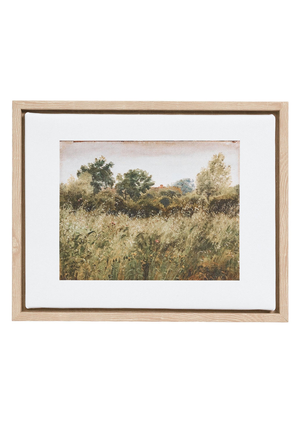 FIELD CANVAS