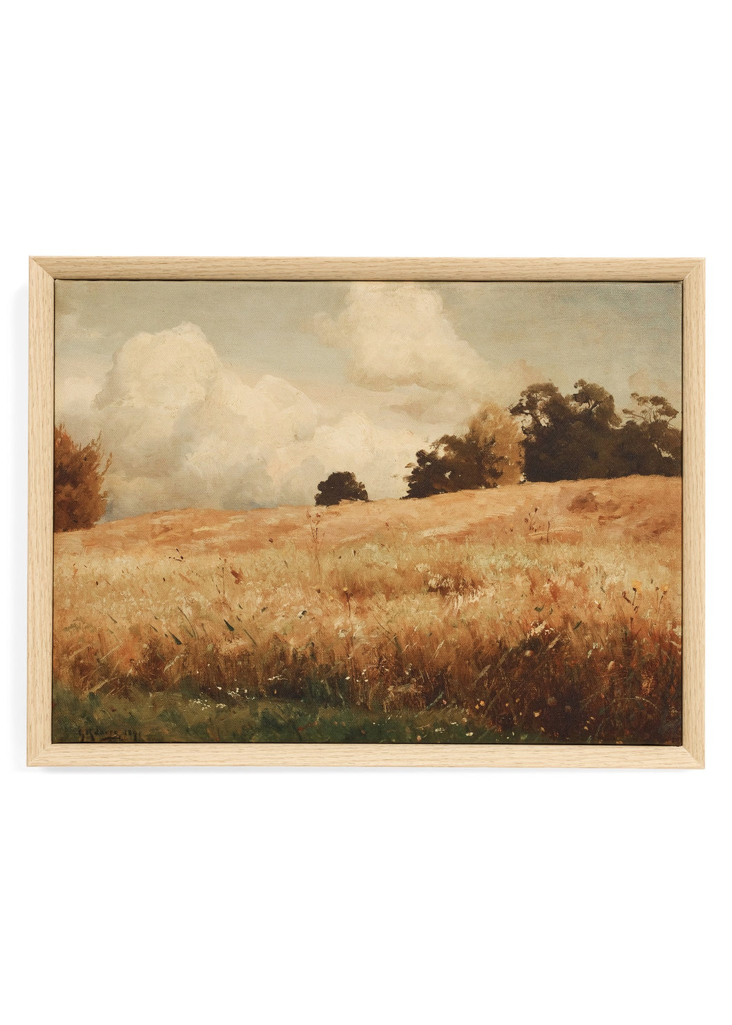 LANDSCAPE CANVAS